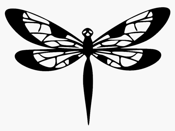 Libélula