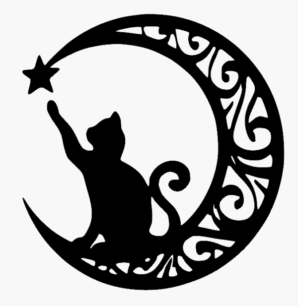 Gato
